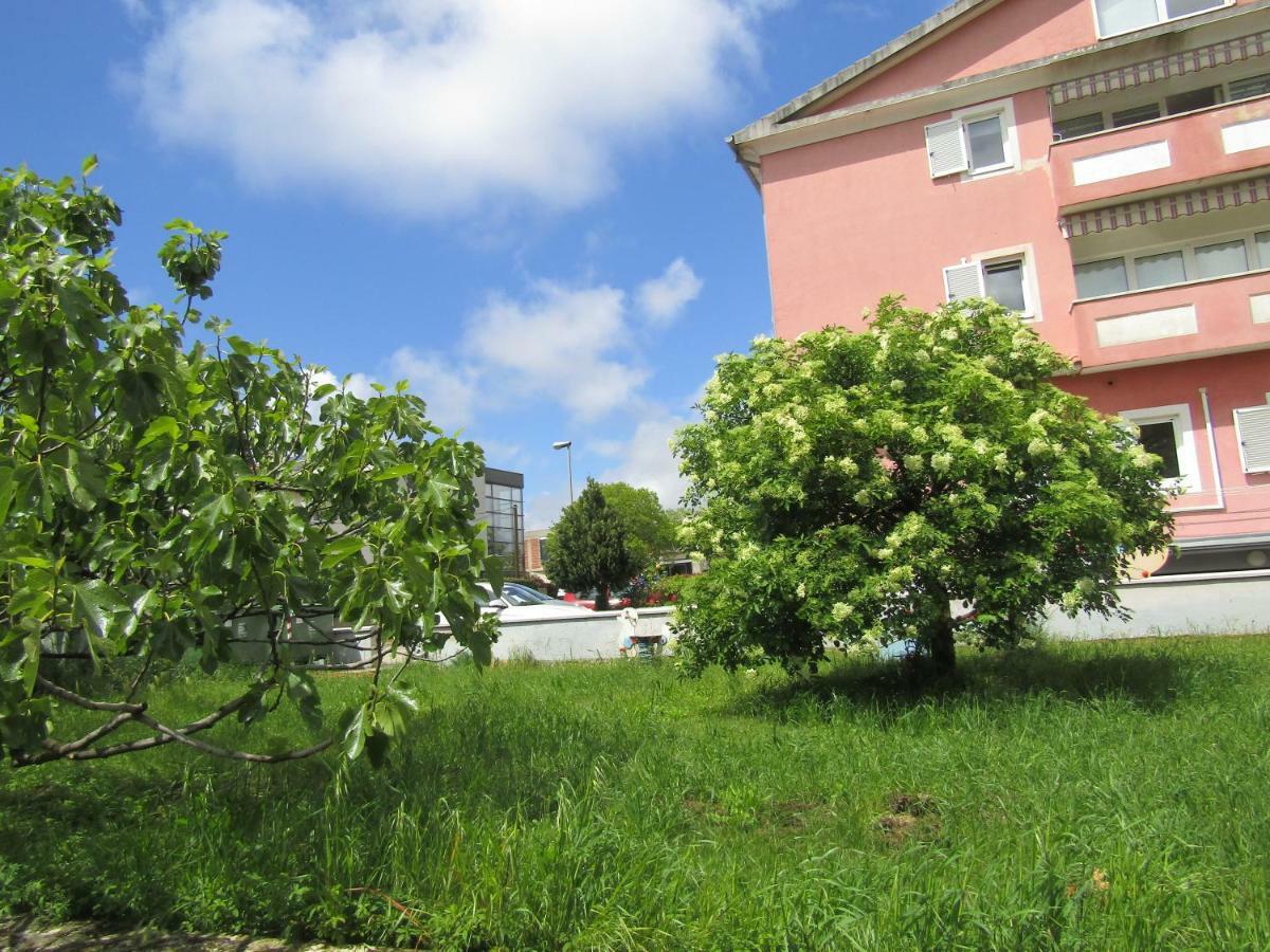 Green Garden Apartments Rovinj Bagian luar foto